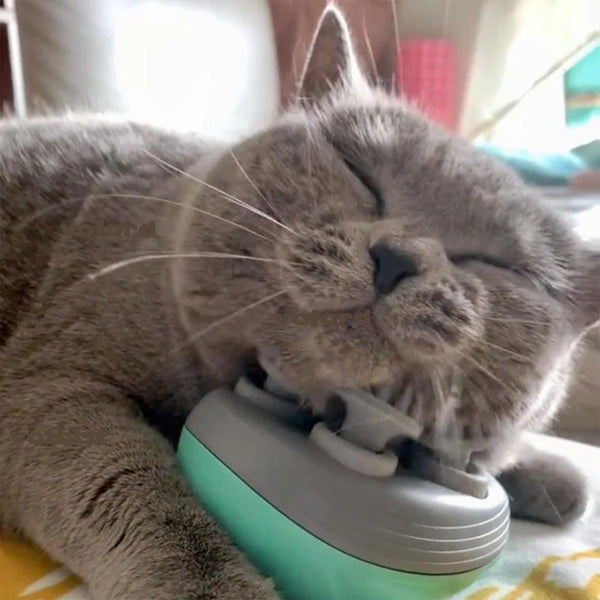 PurrRelax Electric Pets Massager