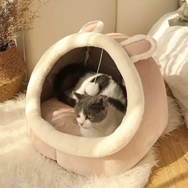 Ecliptic Cozy Cat Cave